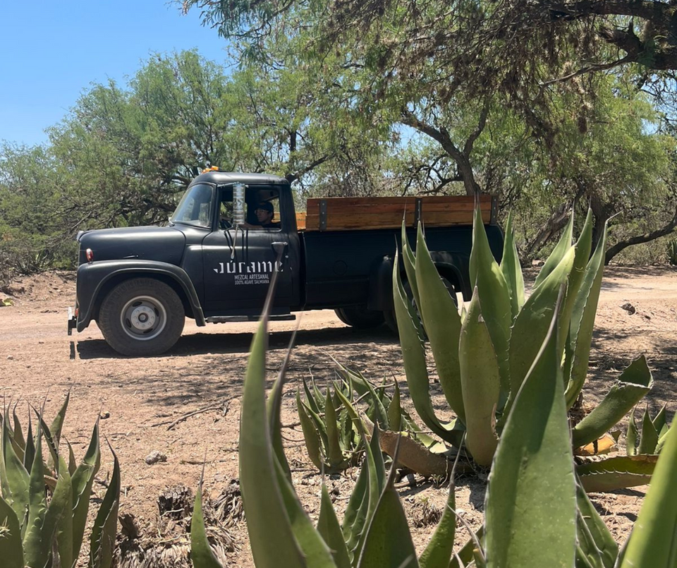 Camioneta de Mezcal Júrame: Recorridos Únicos por la Mezcalera