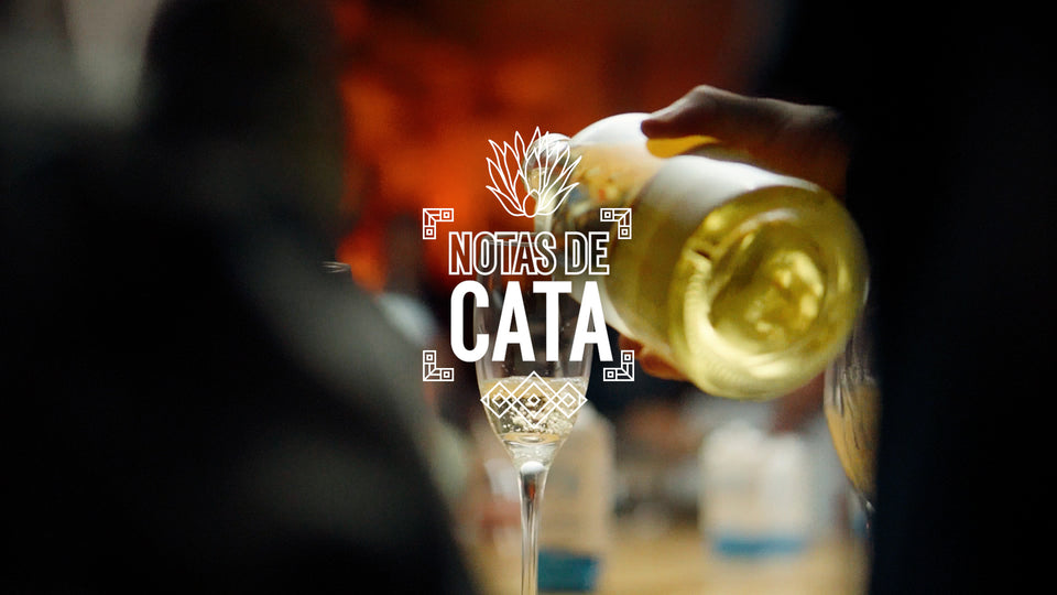 Conoce nuestras notas de cata