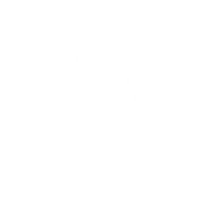 scrolling contnet image
